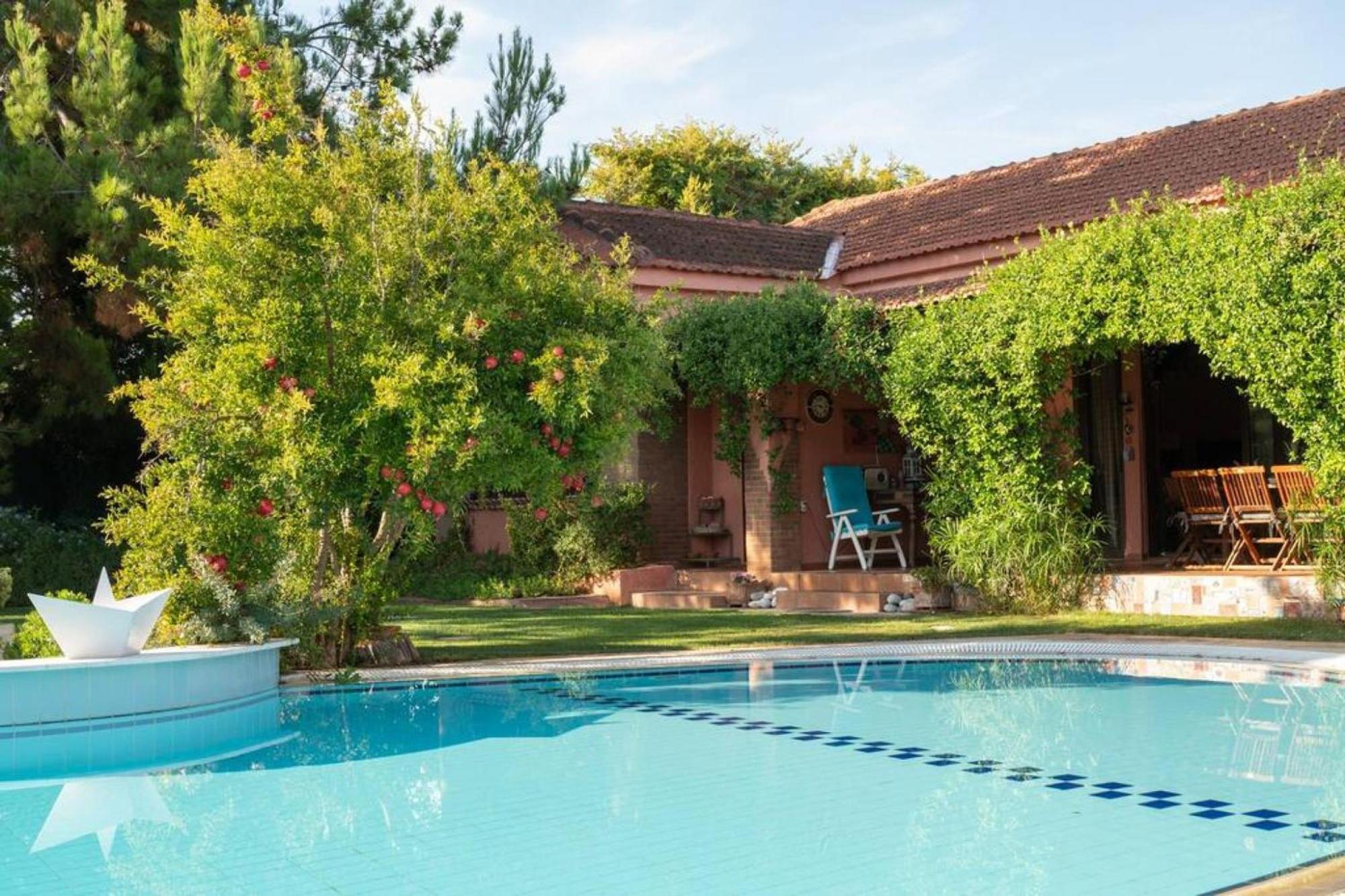 Villa Christina In Evia Paralia Avlidhos